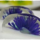 태금쿡클레스 이미지