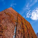 정동빌딩 이미지