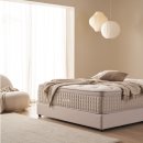 ks환경 | 대구경북 금성침대 직영점 섬유관점 그레버티 킹 매트리스 ks1246 킹침대 배송후기 사진