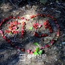 금오도바다펜션 이미지