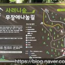 서귀포시 사려니숲 무장애나눔길