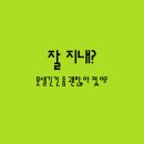평행선 Daum카페