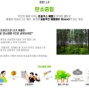 한국산지보전협회 이미지
