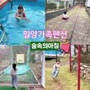 숲속의아침 | 밀양 가족 펜션 사계절 온수수영장 동물 먹이주기 숲속의아침 가성비 숙소