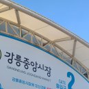 중앙1길 | 강릉중앙시장 먹거리 맛집 원조소문난무침회 오징어무침회 내돈내산 후기