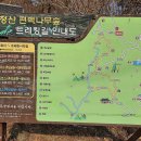 태청산 편백나무숲 트레킹길 이미지