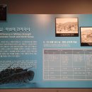 평화공원(내부) 이미지