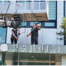 강호크리닝 이미지