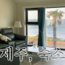 모아위탁관리2 | 제주동쪽숙소 추천 아모르데이펜션 넵튠 2박 후기, 온 가족이 만족했던 숙소