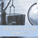 에스크부동산중개 이미지