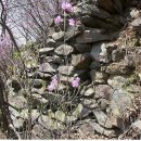 윗자모리 이미지