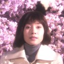 최선이용소