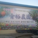 봉의농장 이미지