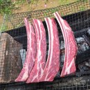 다둥이 축산 이미지