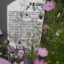 장흥 1리 이미지