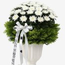 수원-0367 이미지