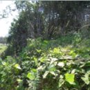 내리 다목적회관 이미지