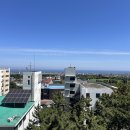 도토리중고책방 | 제주 뚜벅이 혼여행 : 소품샵 구경 하토말차 제주목 관아