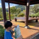 양서·파충류생태공원 아나콘다관 | 전남 아이랑 가볼만한 곳, 함평양서파충류생태공원 방문후기