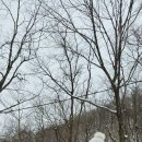 태백산 - 서구 완정로 151 | 태백산