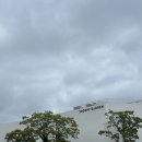 ㅂㅂㅂㅂ | [제주 여행] 킬링 타임으로 괜찮았던 &lt;스누피 가든&gt; 간단 후기