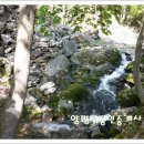 양평전원공인중개사사무소 이미지