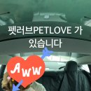 해피한 멍 이미지