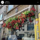 멘뉴