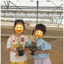 상록수어린이집 이미지