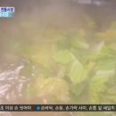 고향전통손칼국시 이미지