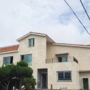 모아나스테이 이미지