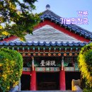 관동고분공원 앞 | 강릉 경포대 강원도 관동팔경 가볼만한곳 여행코스