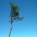 현철농장 이미지