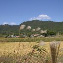 태인~당산 이미지