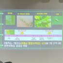 표선면사무소 티스토리