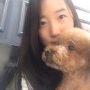 몽크의 아뜰리에 이미지