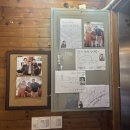 황제세꼬시 | 일산 애니골 찐맛집 황제해신탕능이백숙