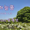 하늘품 - 송광선 소프라노 (최선용 시,곡) 이미지