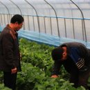 장광식농장 이미지