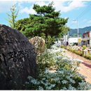 차황초등학교 이미지