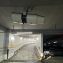 유앤샘외과의원 | [청주유앤샘외과] 갑상선 초음파 유방 초음파 검사 후기