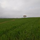 방장산 농장 이미지