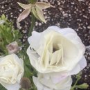 방한의원 이미지