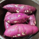 해남 황토밭 고구마 이미지