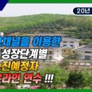 율곡 이미지