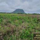 단산민박 이미지