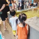 1387 | 파충류 물고기 카페 어푸어푸 수원