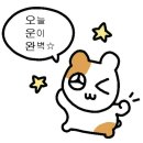 진주크로스핏 가온 이미지