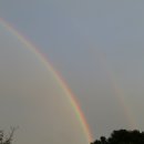 무지개농장2 이미지