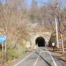 합천창녕보자전거민박 | 자전거 국토종주 코스, 인천~부산까지 4박5일 여행 벚꽃 라이딩(숙박,식당)